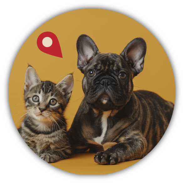 Rescued Firulais y Michi siempre seguros