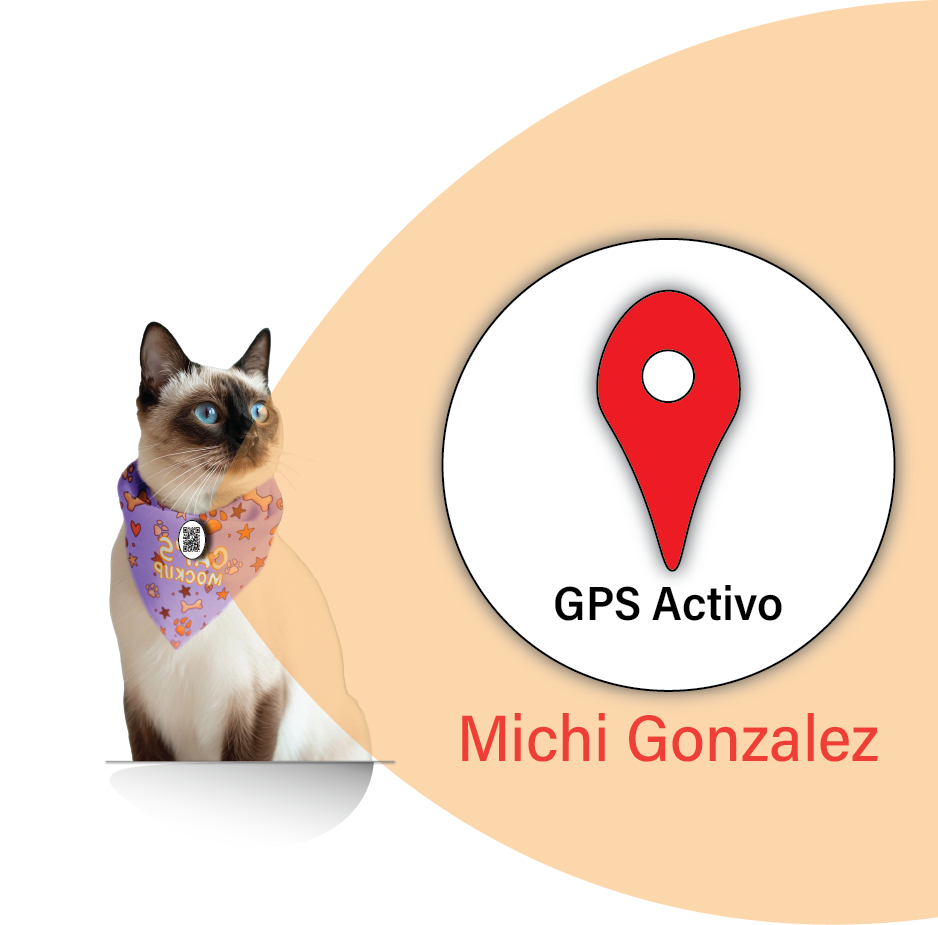 Rescued.cl identifica a tu mascota con un QR!